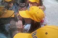 ABC114