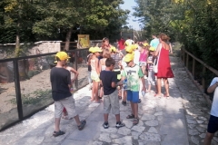 ABC117