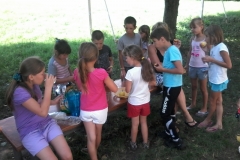 ABC176