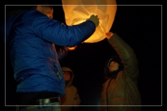 tn_DSC02327-