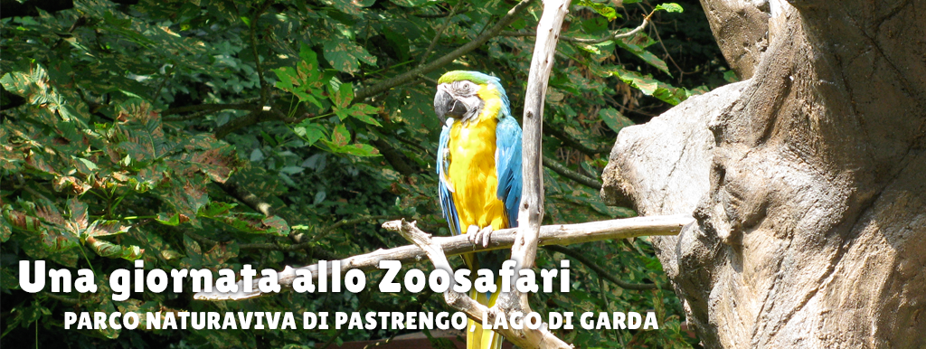 zoosafari